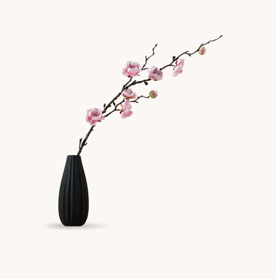 sophie-cardot-psychanalyste-paris-17e-ikebana-N